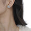 Snow zircon silver earrings