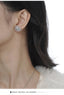 Snow zircon silver earrings