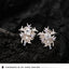 Snow zircon silver earrings